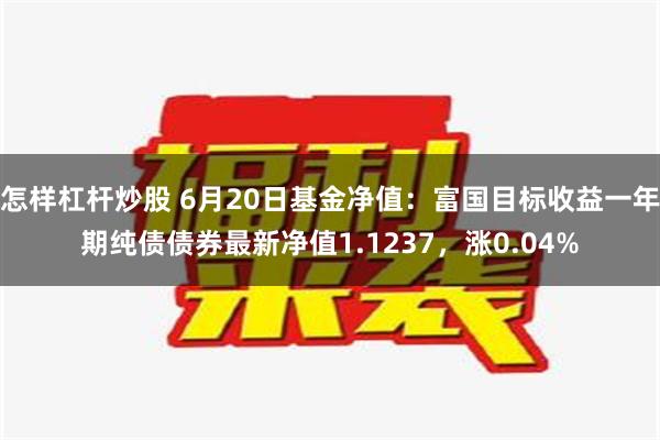 怎样杠杆炒股 6月20日基金净值：富国目标收益一年期纯债债券最新净值1.1237，涨0.04%