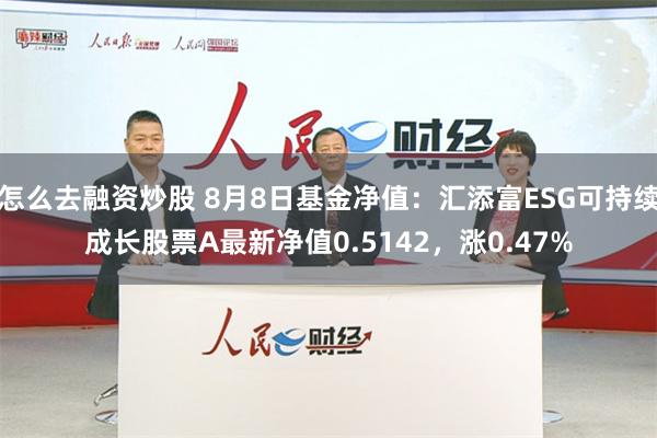 怎么去融资炒股 8月8日基金净值：汇添富ESG可持续成长股票A最新净值0.5142，涨0.47%