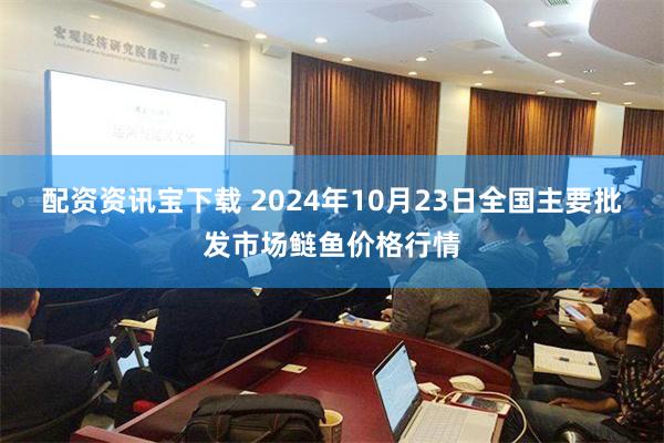 配资资讯宝下载 2024年10月23日全国主要批发市场鲢鱼价格行情