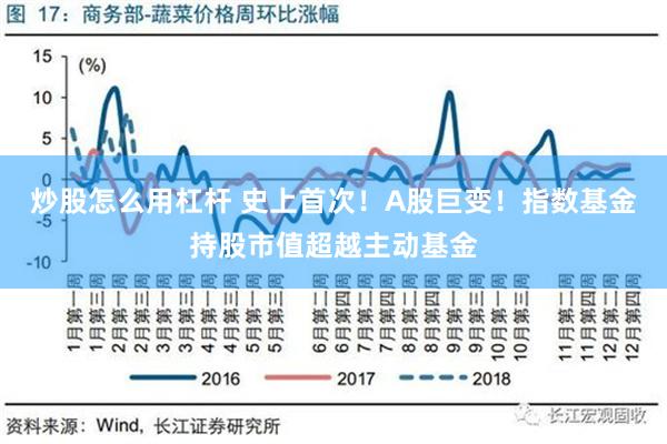 炒股怎么用杠杆 史上首次！A股巨变！指数基金持股市值超越主动基金