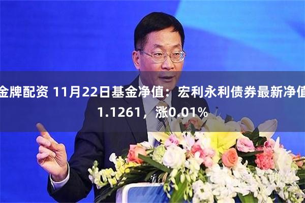 金牌配资 11月22日基金净值：宏利永利债券最新净值1.1261，涨0.01%