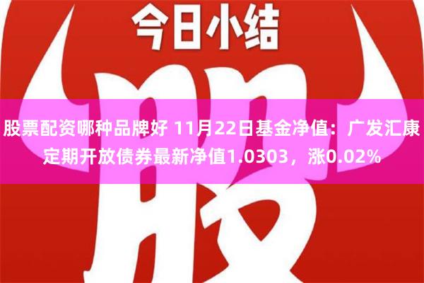 股票配资哪种品牌好 11月22日基金净值：广发汇康定期开放债券最新净值1.0303，涨0.02%