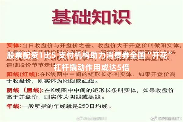 股票配资1比5 支付机构助力消费券全国“开花” 杠杆撬动作用或达5倍